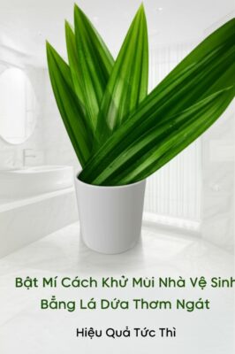 Bật Mí Cách Khử Mùi Nhà Vệ Sinh Bằng Lá Dứa Thơm Ngát, Hiệu Quả Tức Thì