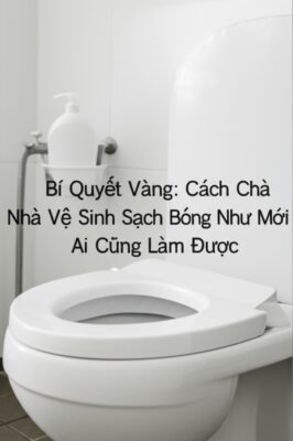 Bí Quyết Vàng: Cách Chà Nhà Vệ Sinh Sạch Bóng Như Mới Ai Cũng Làm Được