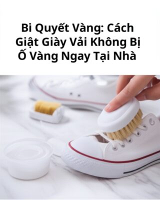 Bí Quyết Vàng: Cách Giặt Giày Vải Không Bị Ố Vàng Ngay Tại Nhà