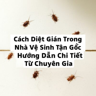 Cách Diệt Gián Trong Nhà Vệ Sinh Tận Gốc: Hướng Dẫn Chi Tiết Từ Chuyên Gia