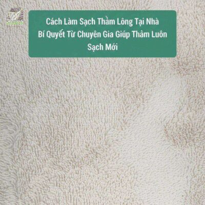 Cách Làm Sạch Thảm Lông Tại Nhà: Bí Quyết Từ Chuyên Gia Giúp Thảm Luôn Sạch Như Mới
